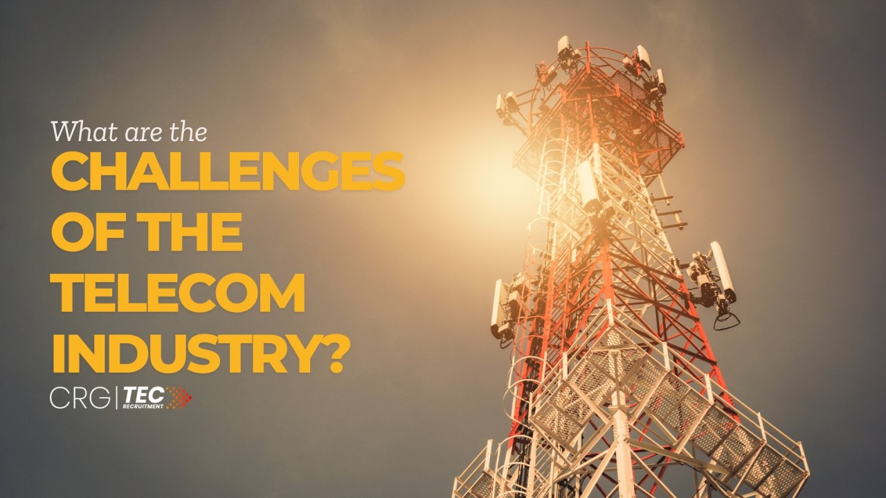 Telecommunications industry concerns: professional managing work-life balance